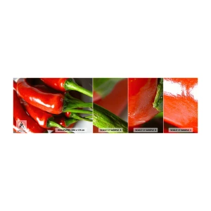 Campione di Fotomurale Adesivo Deluxe Sticker - Succosi, lisci e lucenti - Gastronomia, Pepe, Verdure - 100x30 cm