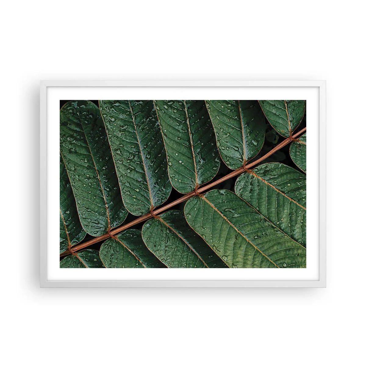 Poster in cornice bianca - Al ritmo verde - 70x50 cm