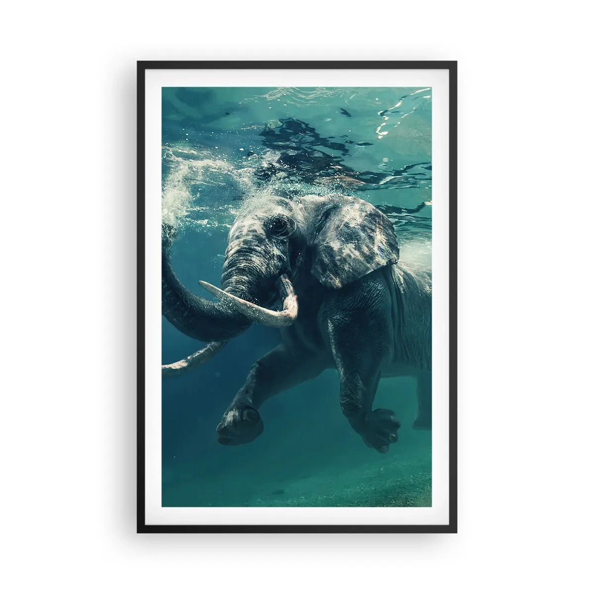 Poster in cornice nera - Tutti amano nuotare - 61x91 cm