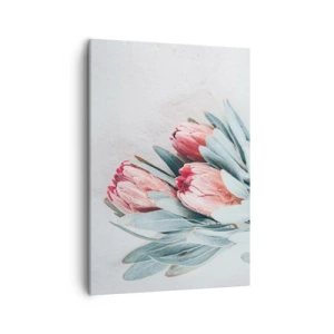 Quadro su tela - Stampe su Tela - Delicati fiori di protea rosa su uno sfondo chiaro - 50x70cm - Imbarazzati per la propria bellezza - Decorazione murale moderna per soggiorno e camera da letto ARTTOR
