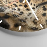 Quadrante con trattini