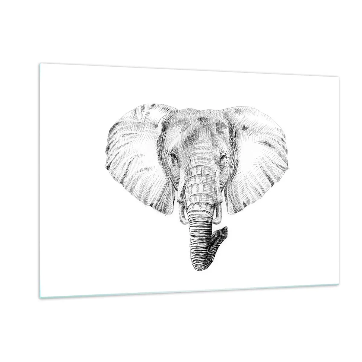 Quadro su vetro - Disegno in bianco e nero della testa di un elefante su sfondo bianco - 120x80cm - C'era un volta un elefante - Decorazione murale moderna per soggiorno e camera da letto ARTTOR