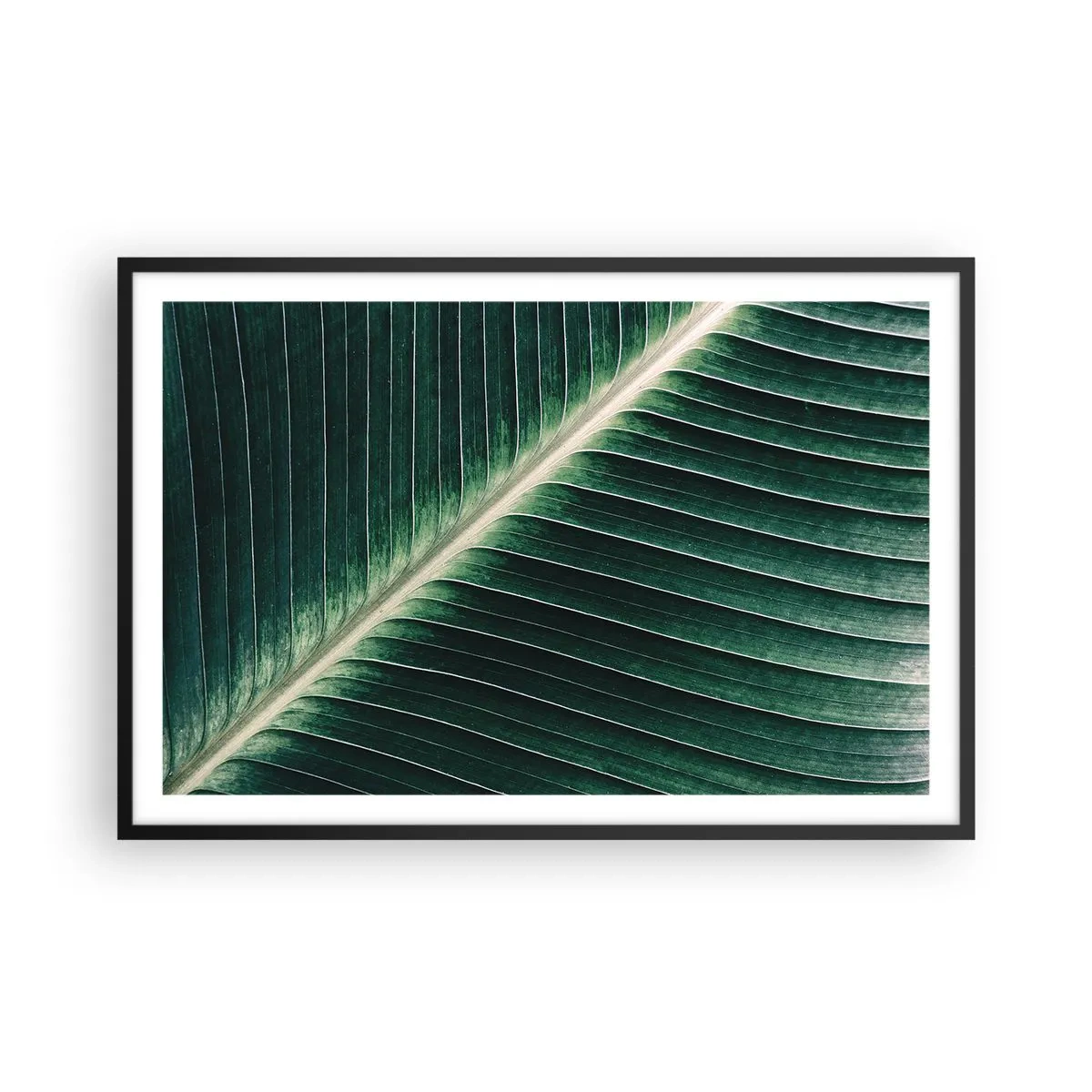 Poster in cornice nera - Il ritmo della natura - 91x61 cm