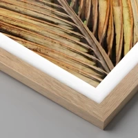 Rovere chiaro