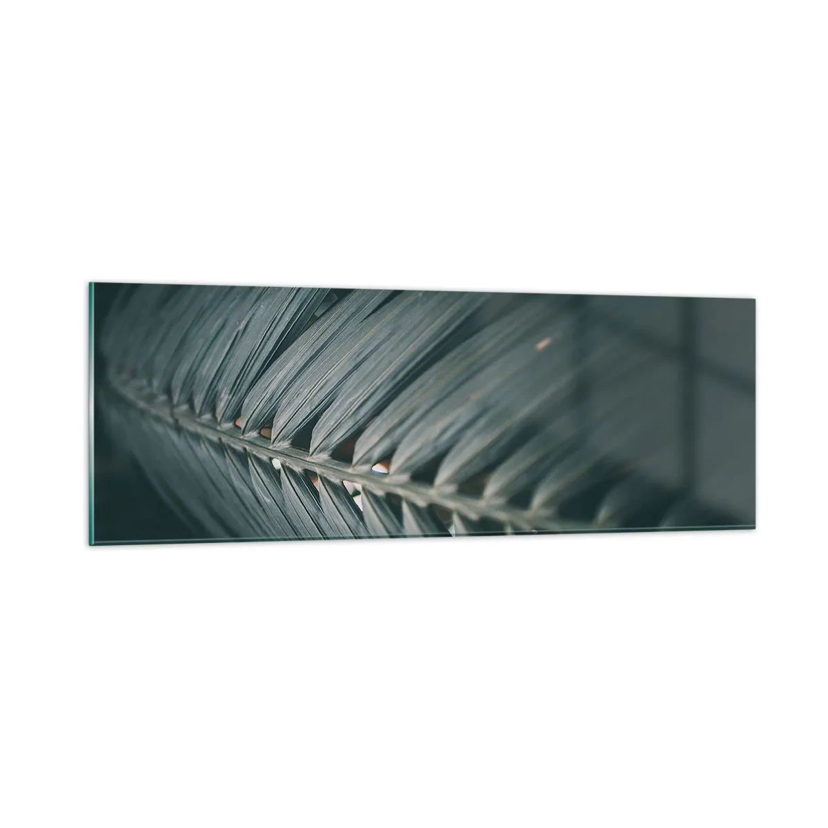 Quadro su vetro - La precisione della natura - 90x30 cm