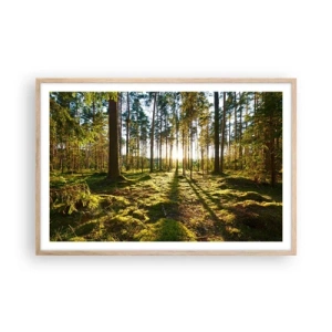 Poster in cornice rovere chiaro - …dopo sette foreste - 91x61 cm