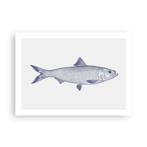 Poster - Un saluto dai mari del nord - 70x50 cm