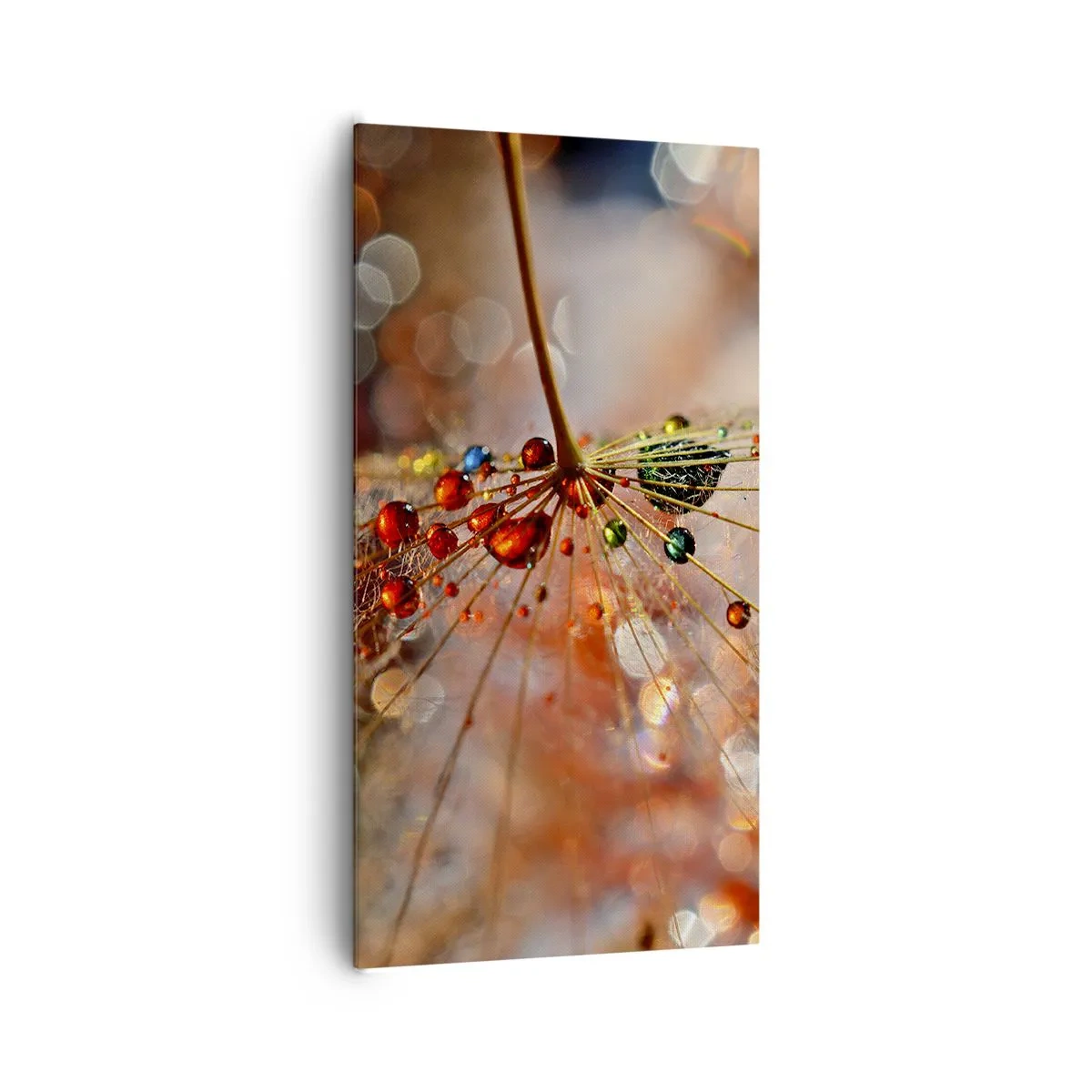 Quadro su tela - Stampe su Tela - Posate sulla ragnatela - 65x120 cm