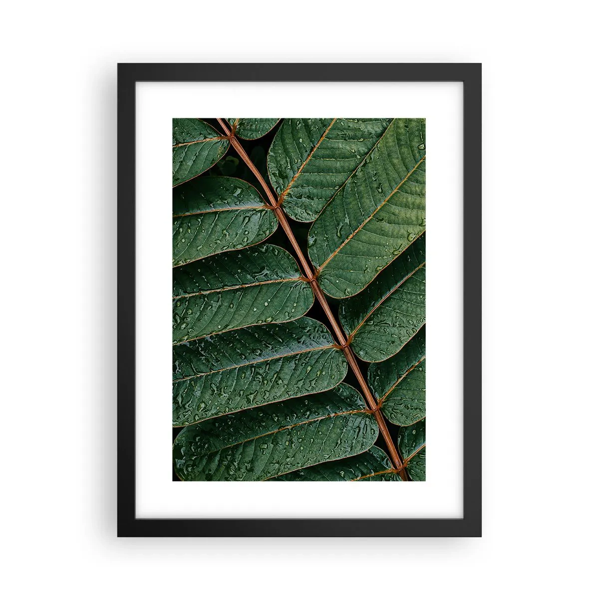 Poster in cornice nera - Al ritmo verde - 30x40 cm