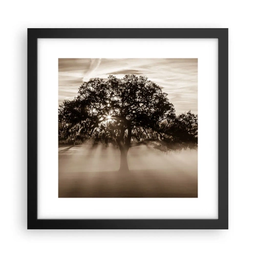 Poster in cornice nera - L'albero delle sole buone notizie - 30x30 cm