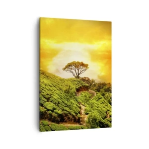 Quadro su tela - Stampe su Tela - Verdi colline di piantagioni di tè al tramonto - 50x70cm - Sentiero tortuoso, pendio verde - Decorazione murale moderna per soggiorno e camera da letto ARTTOR