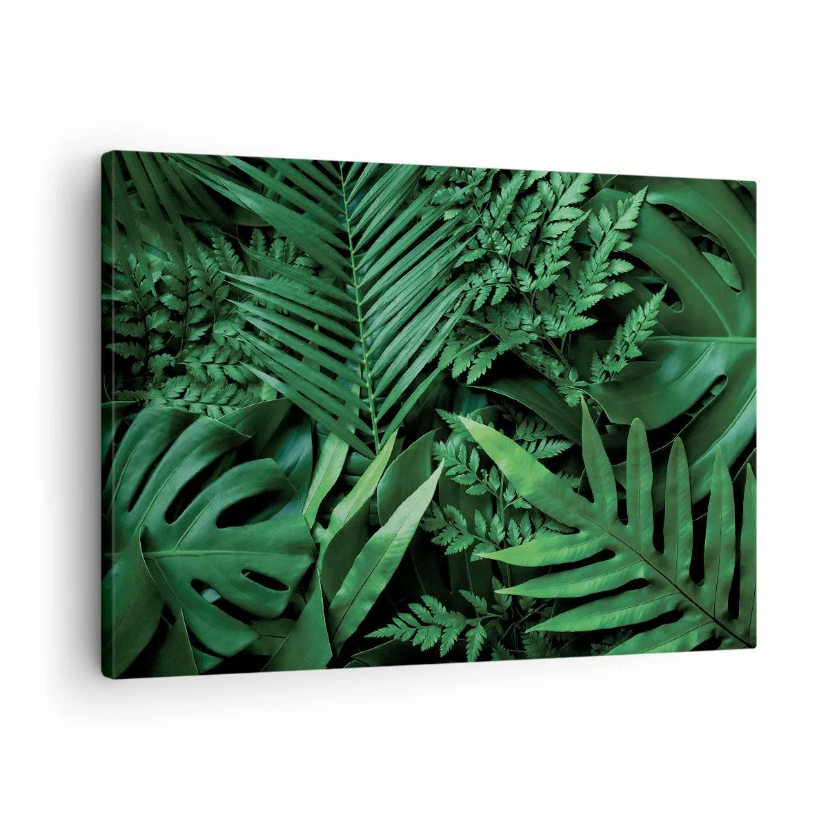 Quadro su tela - Stampe su Tela - Foglie tropicali verdi in una composizione densa e naturale - 70x50cm - Avvolti nel verde - Decorazione murale moderna per soggiorno e camera da letto ARTTOR