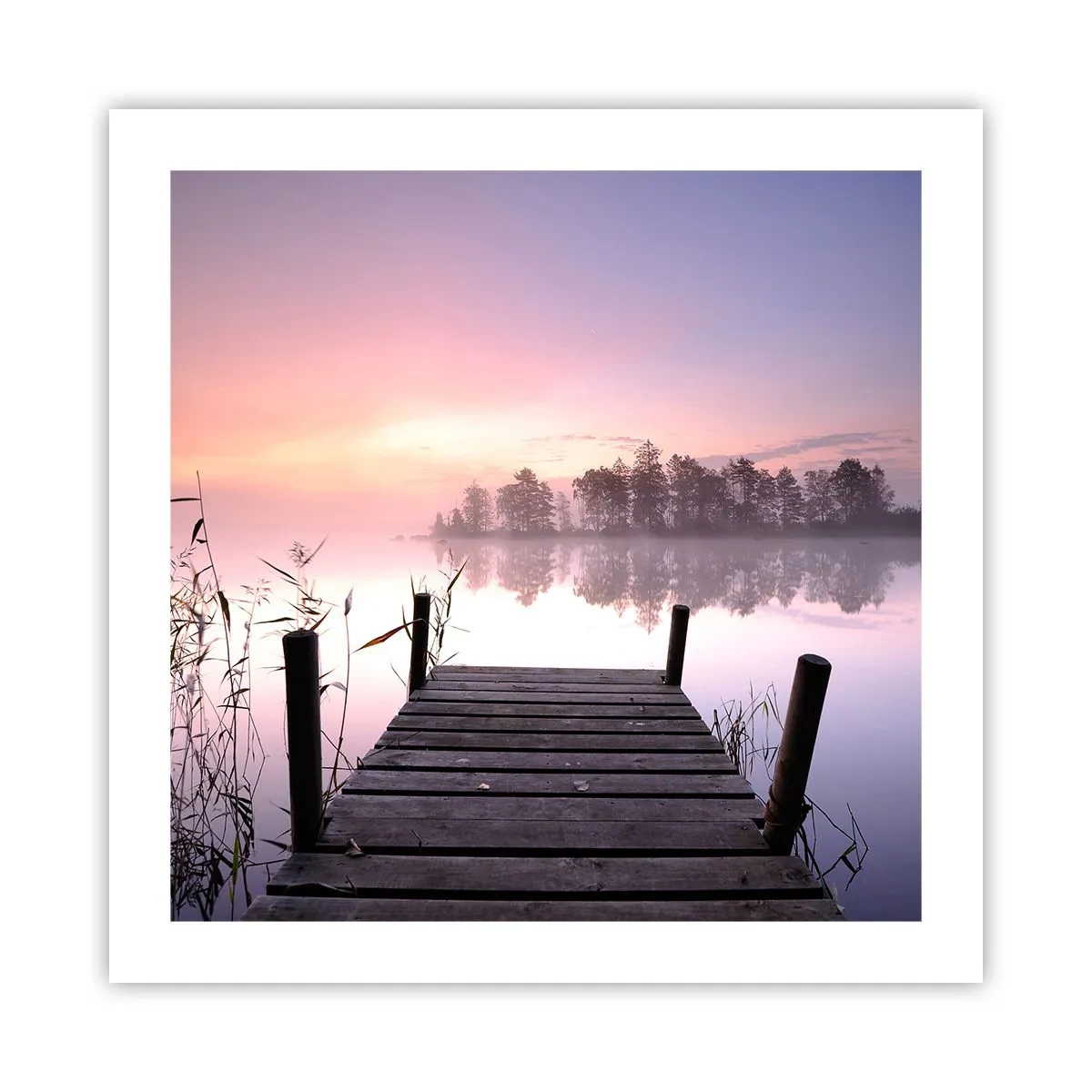 Poster - Nebbia color lilla - 50x50 cm