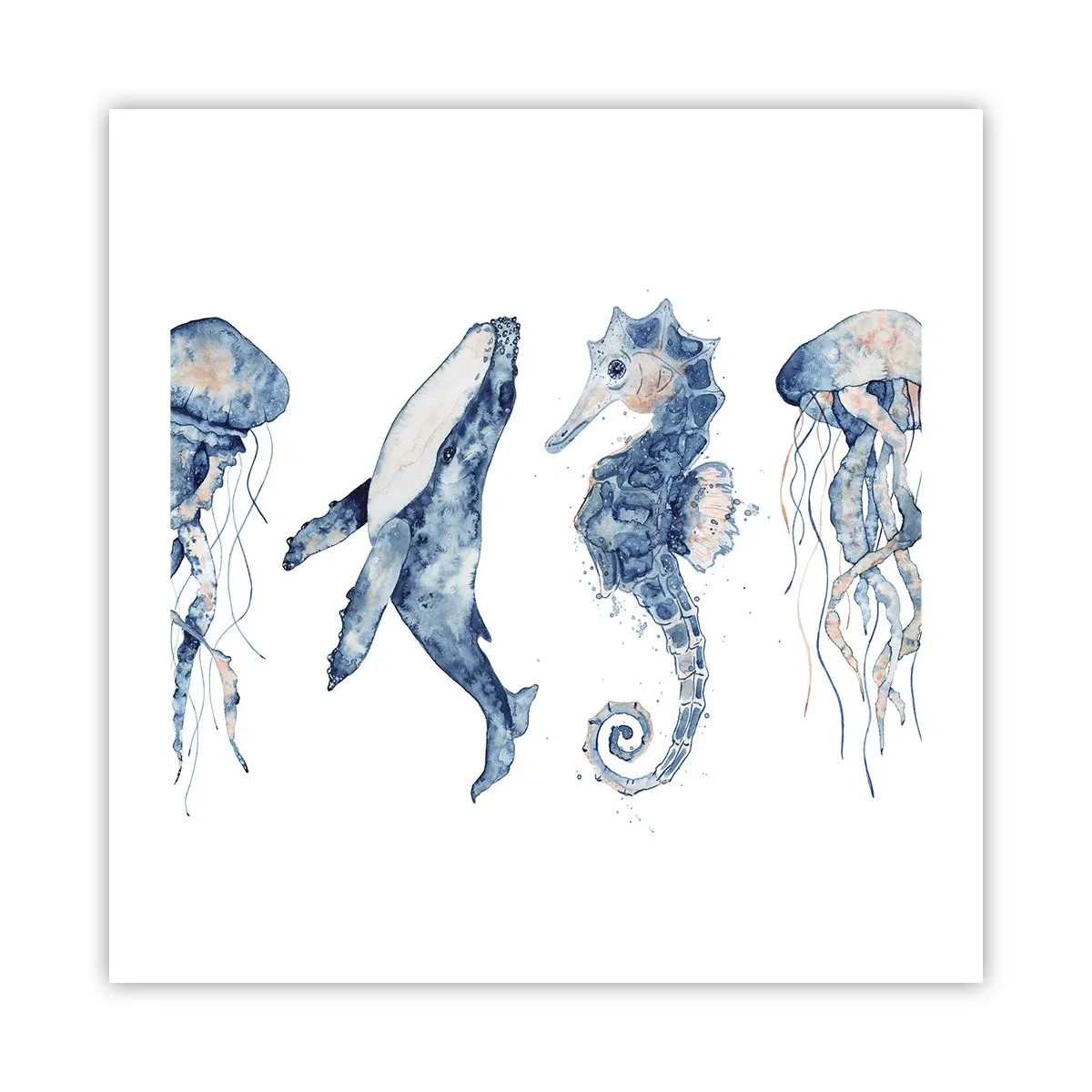 Poster - Meraviglie del mare - 50x50 cm