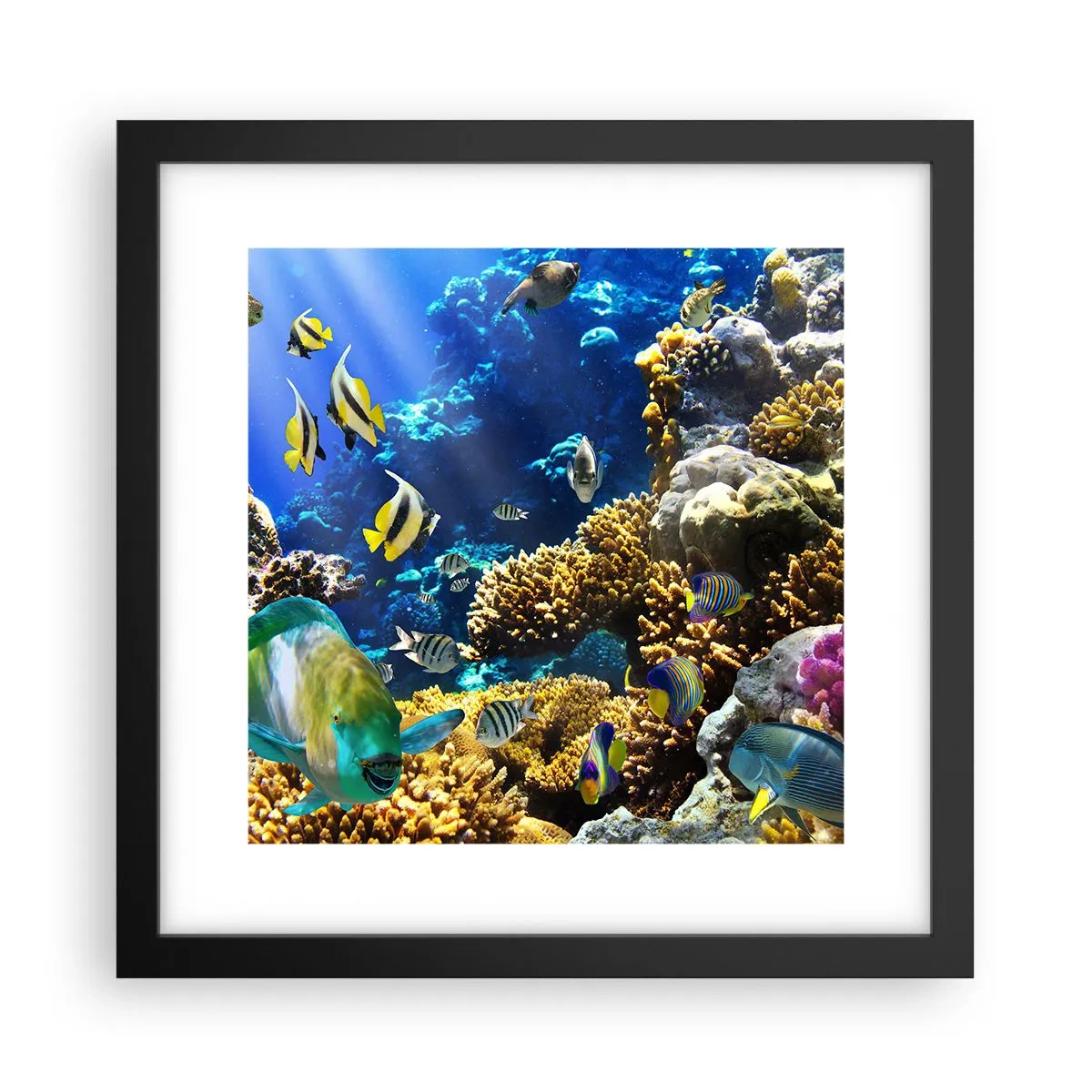 Poster in cornice nera - Traffico intenso sulla via delle vacanze - 30x30 cm
