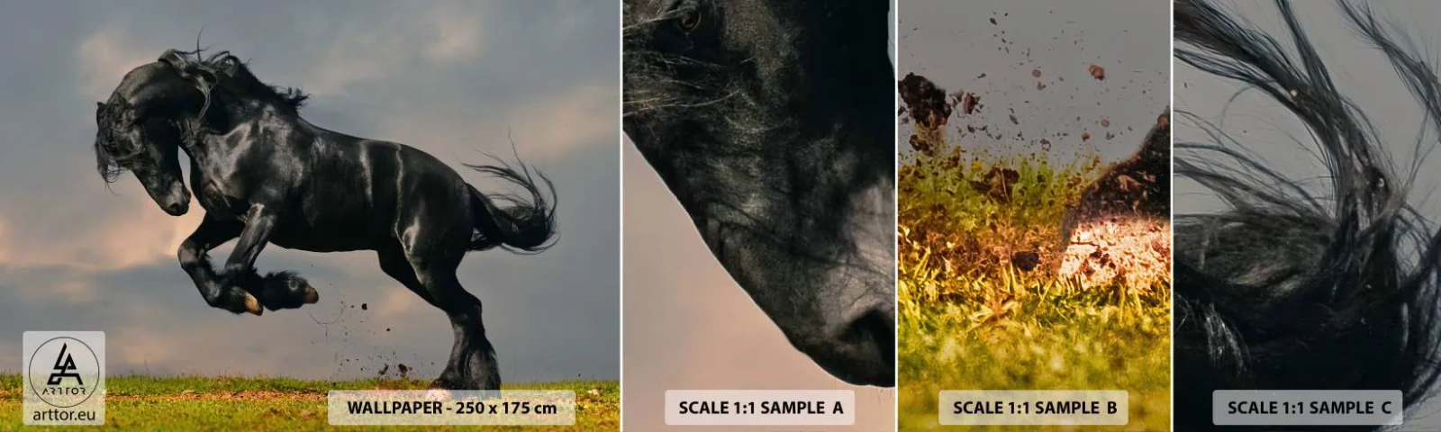 Campione di Fotomurale Adesivo Deluxe Sticker - Libero e bello - Animali, Cavallo, Paesaggio - 100x30 cm