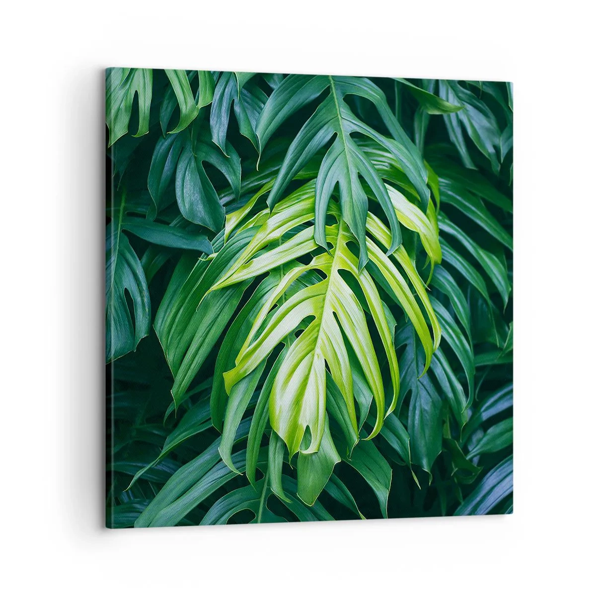 Quadro su tela - Stampe su Tela - Immergersi nella freschezza - 60x60 cm