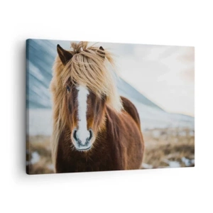 Quadro su tela - Stampe su Tela - Cavallo islandese contro un paesaggio montano - 70x50cm - Senti la libertà? - Decorazione murale moderna per soggiorno e camera da letto ARTTOR