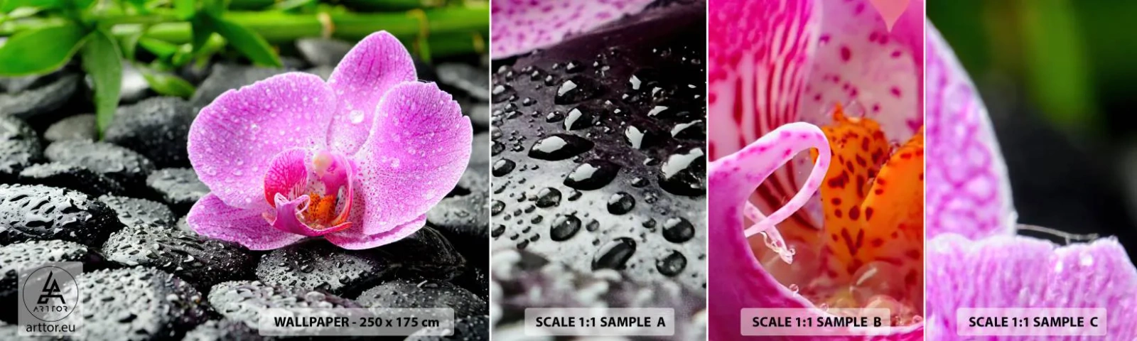 Campione Di Fotomurale Standard Eco - Come un cuore aperto - Fiori, Orchidea, Orchidea - 100x30 cm