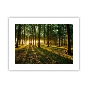 Poster - La foto di ogni primavera - 40x30 cm