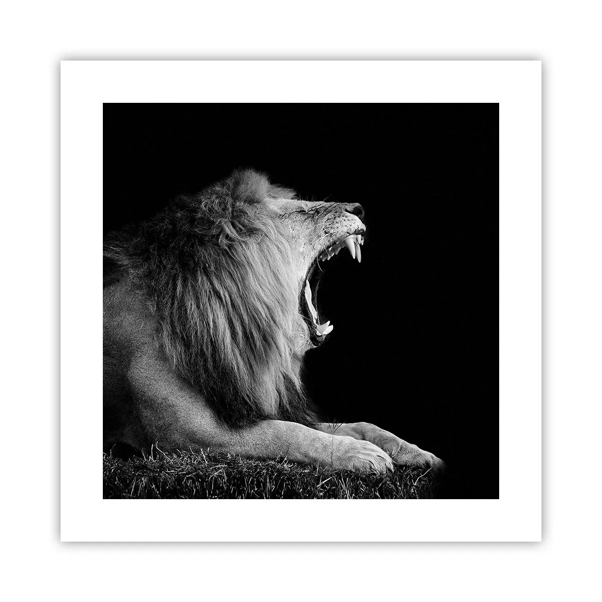 Poster - Senza alcun dubbio - 40x40 cm
