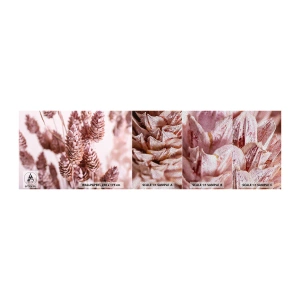 Campione di Fotomurale Premium Sand - A prima vista poco appariscenti - Fiore Secco, Fiore, Prato - 100x30 cm