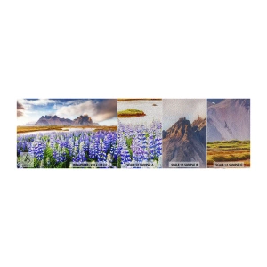Campione di Fotomurale Premium Sand - Forza e asprezza accanto alla mitezza - Paesaggio, Montagne, Fiori - 100x30 cm