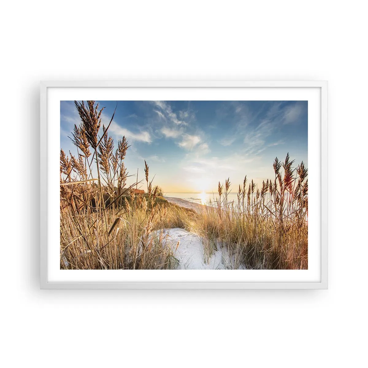 Poster in cornice bianca - Spiaggia del nord - 70x50 cm