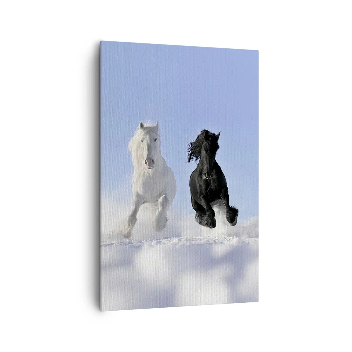 Quadro su tela - Stampe su Tela - Un cavallo bianco e uno nero che galoppano nella neve - 80x120cm - Galoppo in bianco e nero - Decorazione murale moderna per soggiorno e camera da letto ARTTOR