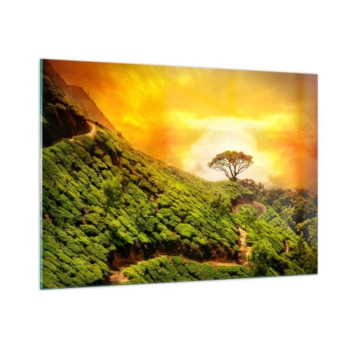 Quadro su vetro - Colline verdi con un albero solitario al tramonto - 100x70cm - Sentiero tortuoso, pendio verde - Decorazione murale moderna per soggiorno e camera da letto ARTTOR