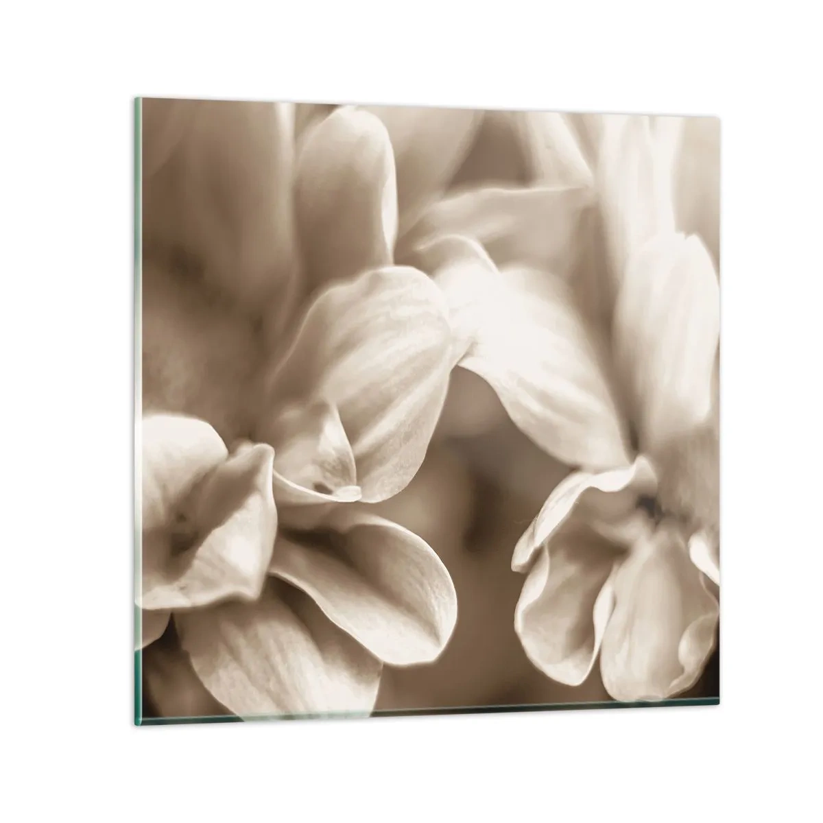 Quadro su vetro - Mite come un sorriso - 30x30 cm