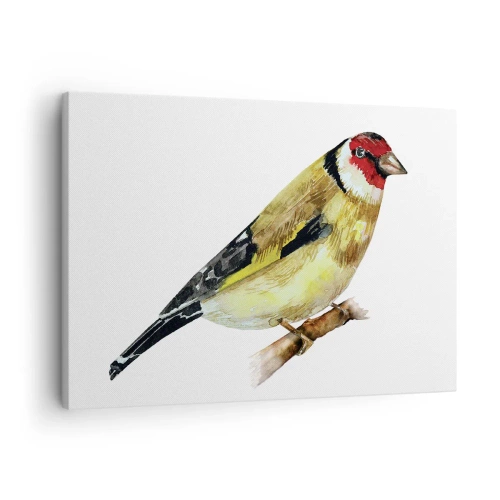 Quadro su tela - Stampe su Tela - Un uccello con la testa rossa su un ramo - 70x50cm - Ritratto di uccello - Decorazione murale moderna per soggiorno e camera da letto ARTTOR