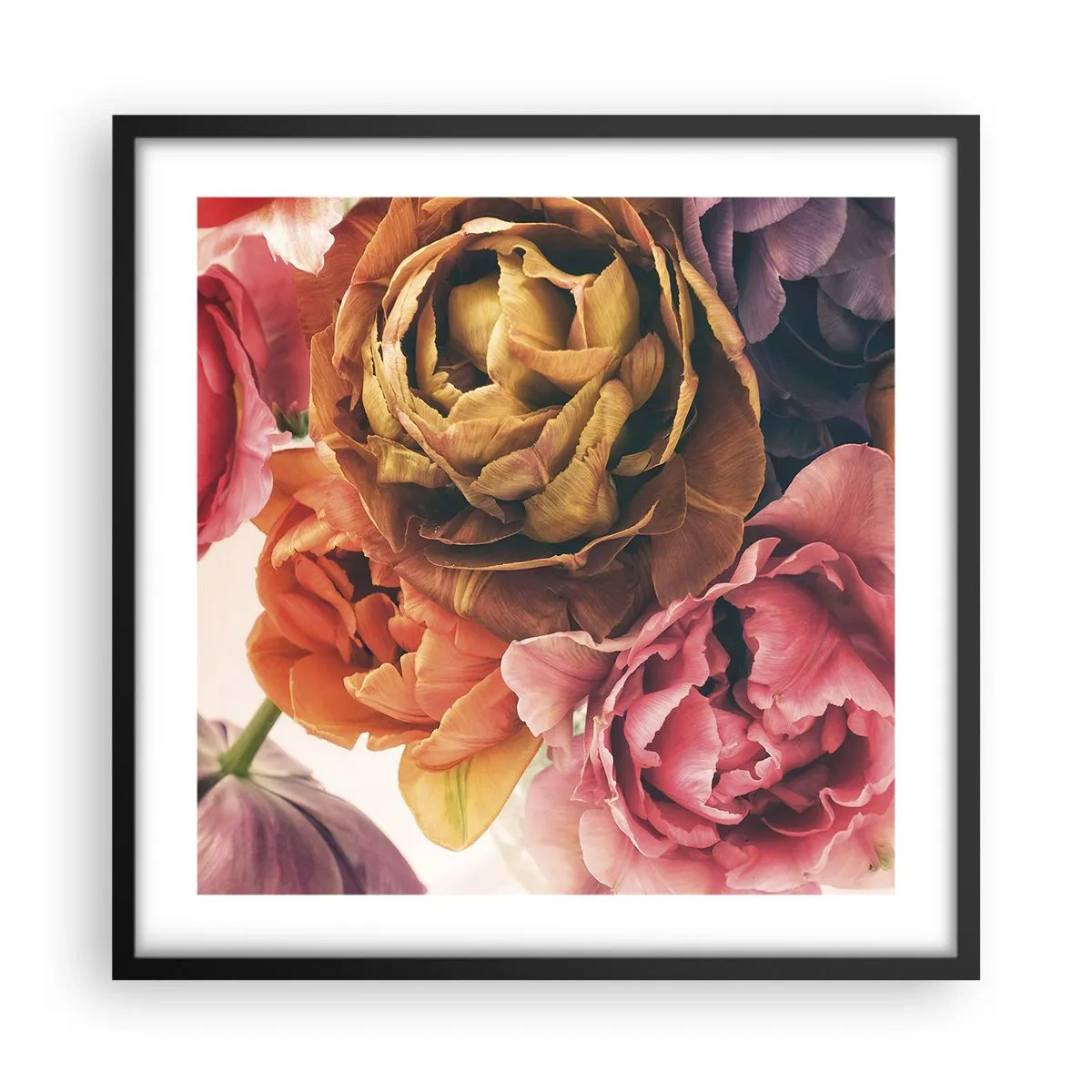 Poster in cornice nera - La festa della vita - 50x50 cm