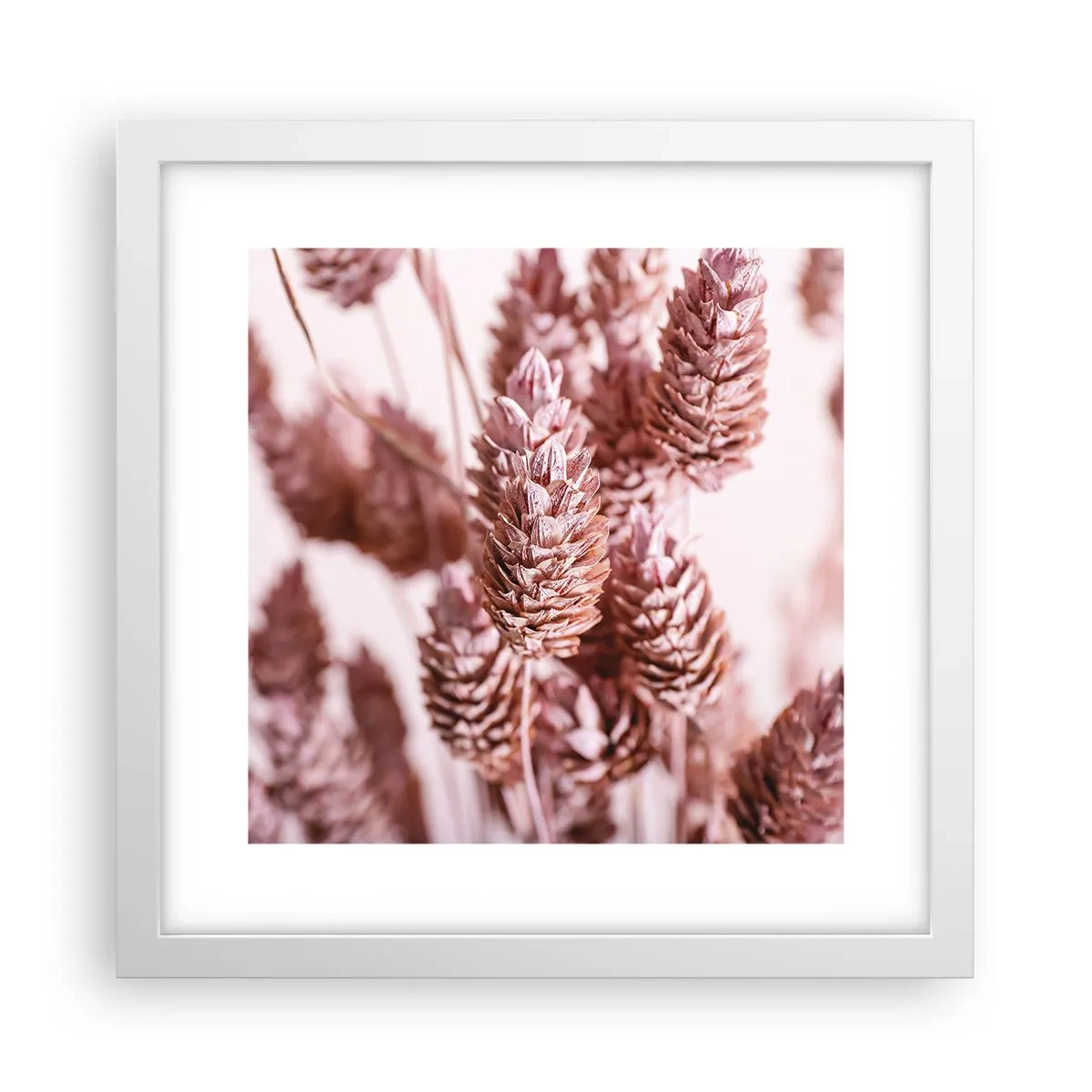 Poster in cornice bianca - A prima vista poco appariscenti - 30x30 cm