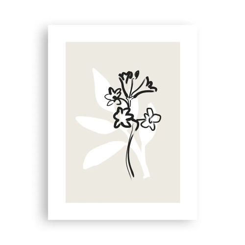 Poster - Schizzo per l'erbario - 30x40 cm