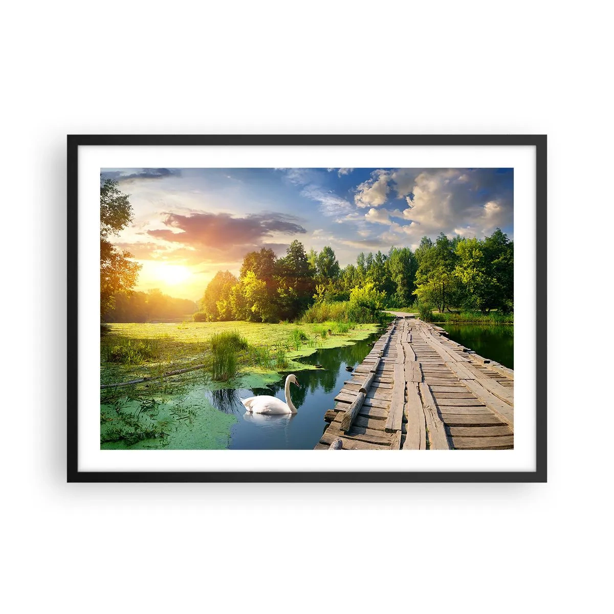 Poster in cornice nera - Un paesaggio pittoresco con un ponte e un cigno - 70x50cm - Estate, estate ovunque - Decorazione murale moderna per soggiorno e camera da letto ARTTOR