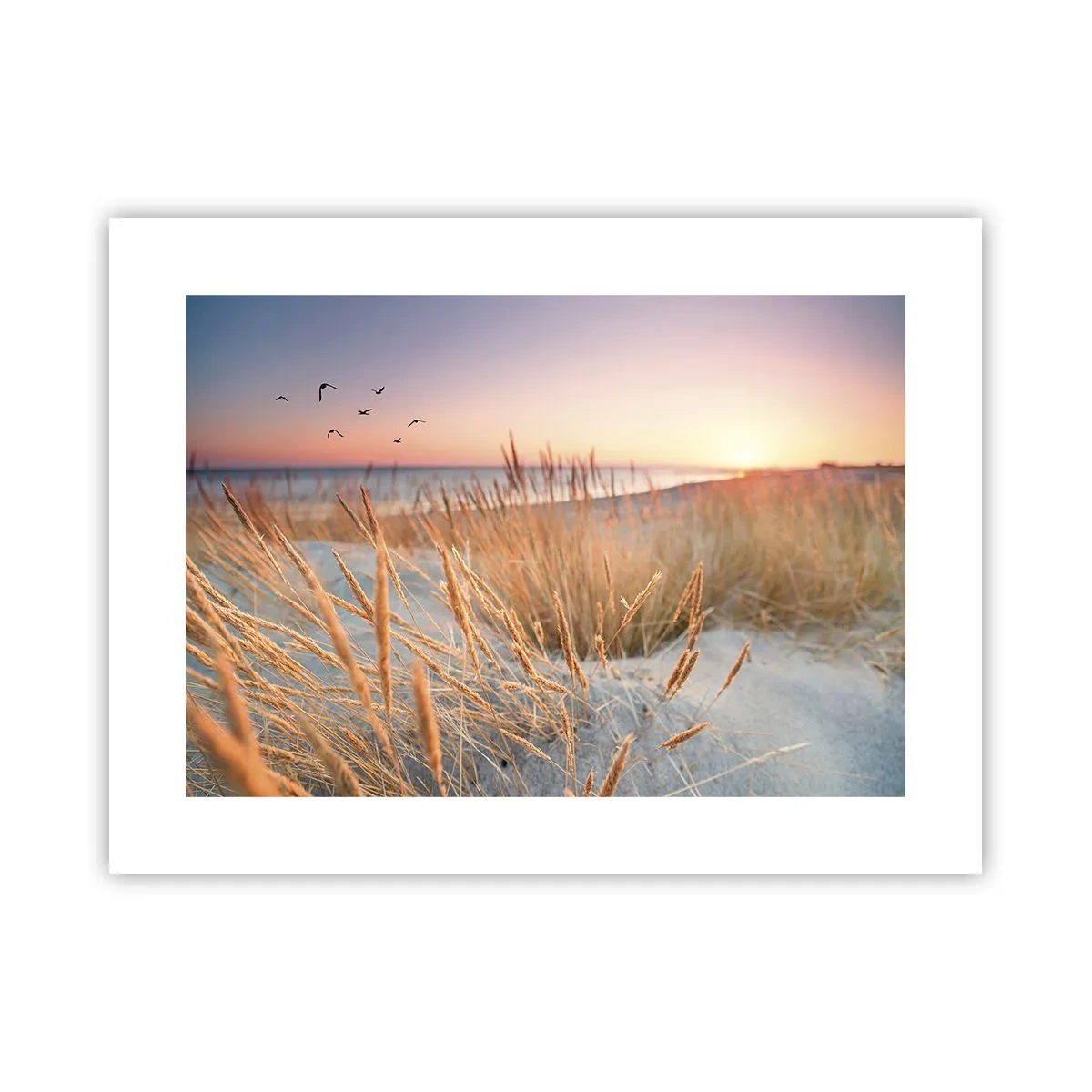 Poster - Ninna nanna baltica - 40x30 cm