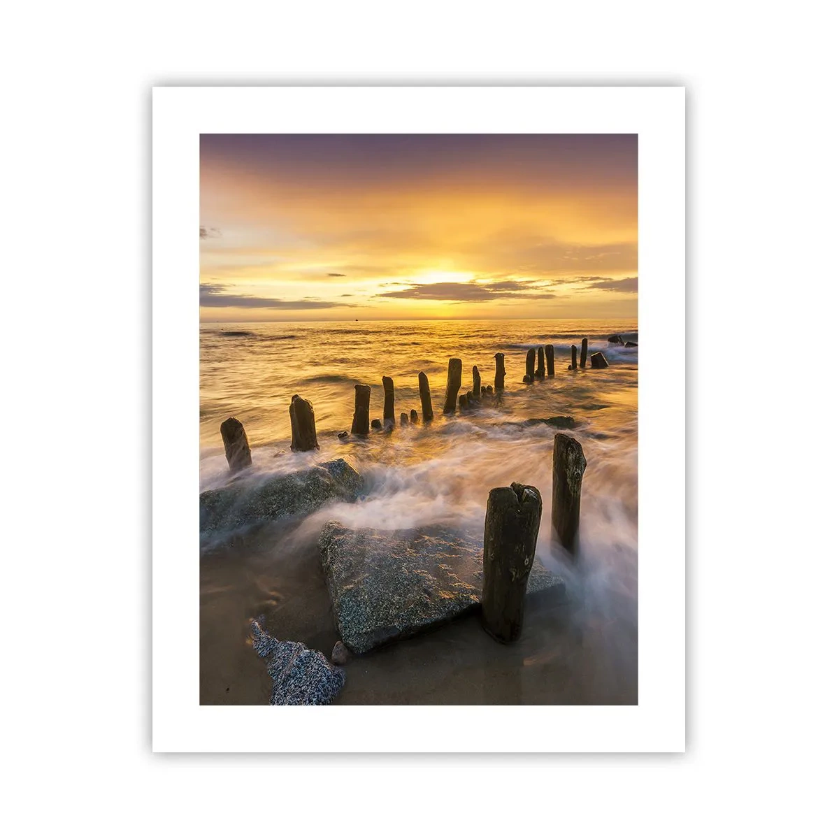 Poster - La bellezza selvatica del Baltico - 40x50 cm