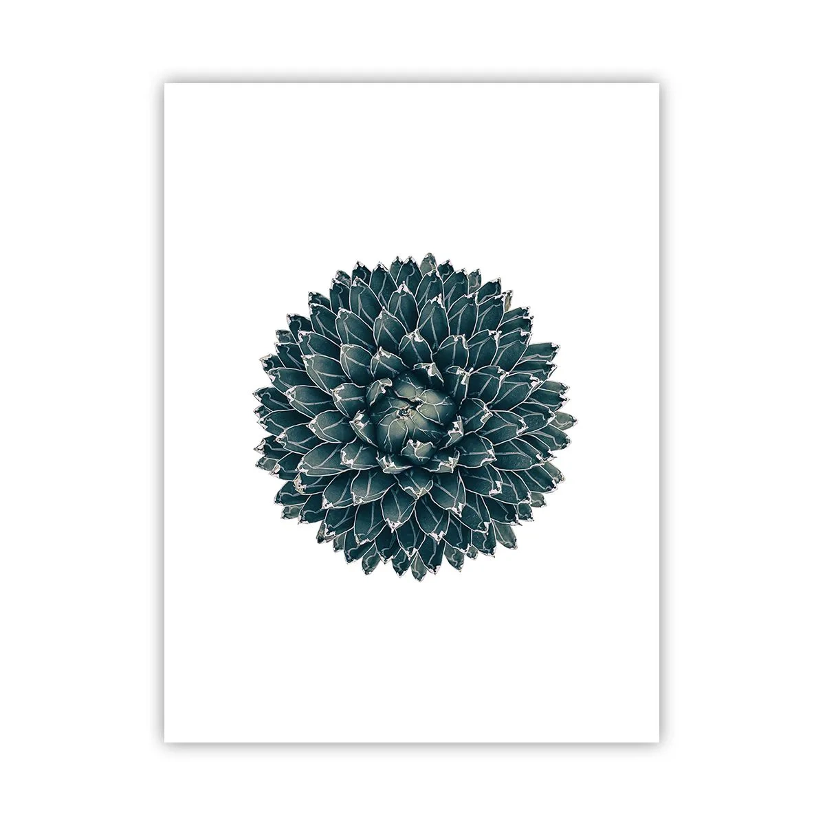 Poster - La stella del deserto - 30x40 cm