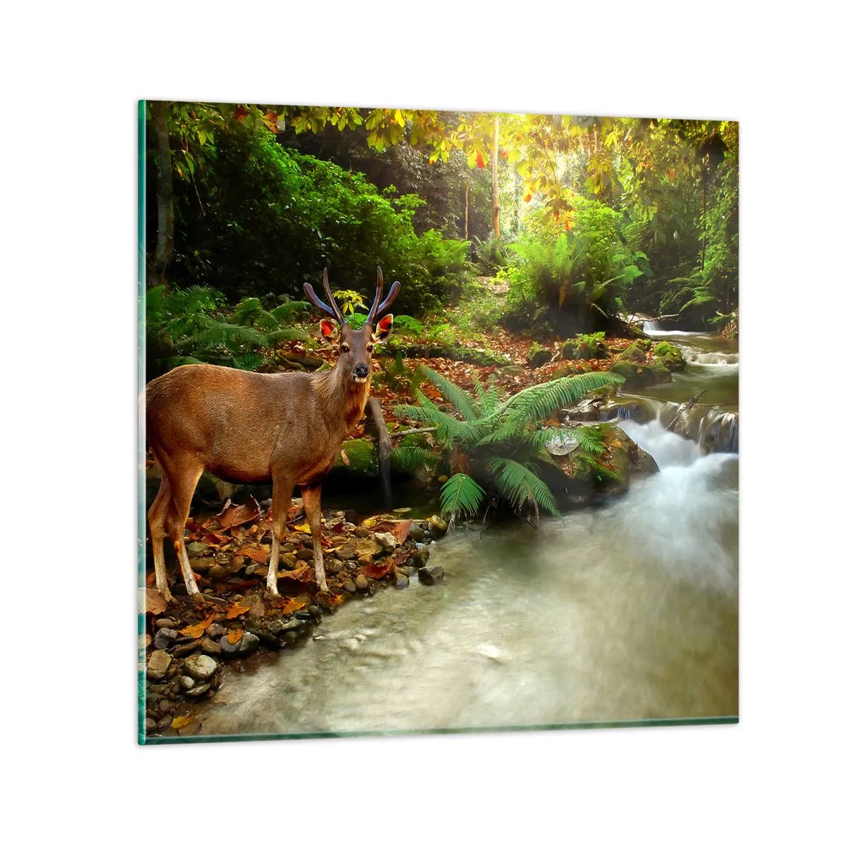 Quadro su vetro - Benvenuto nel mio mondo - 70x70 cm