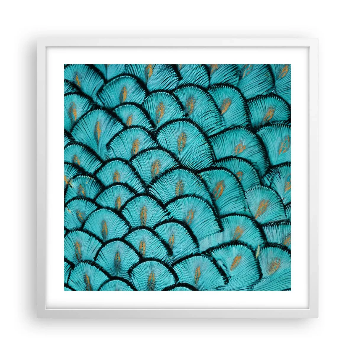 Poster in cornice bianca - La grande festa delle piume - 50x50 cm