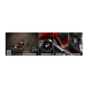 Campione Di Fotomurale Standard Eco - Bellezza in rosso e argento - Moto, Chopper, Settore automobilistico - 100x30 cm