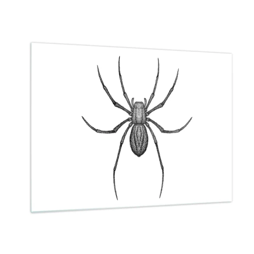 Quadro su vetro - Illustrazione in stile retrò di un ragno nero su sfondo bianco - 70x50cm - Precisione inquietante - Decorazione murale moderna per soggiorno e camera da letto ARTTOR