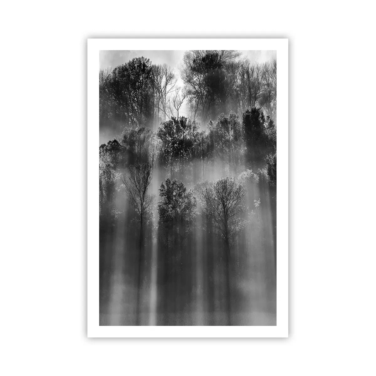 Poster - Nei getti di luce - 61x91 cm