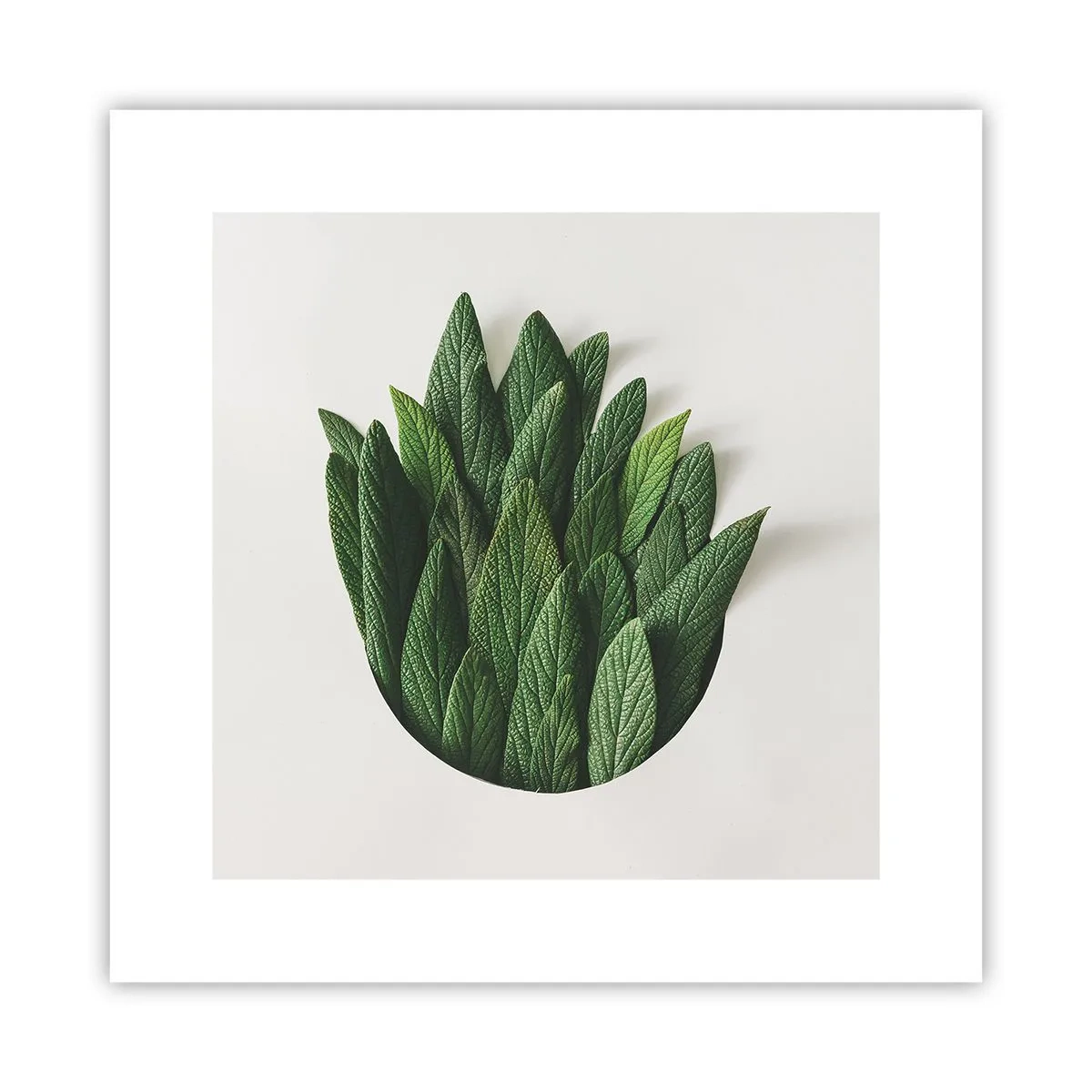 Poster - Curiosità irrefrenabile - 30x30 cm