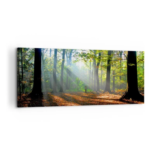 Quadro su tela - Stampe su Tela - Una radura della foresta illuminata dai raggi del sole - 120x50cm - Luci e ombre - Decorazione murale moderna per soggiorno e camera da letto ARTTOR