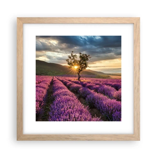 Poster in cornice rovere chiaro - Aroma di colore lilla - 30x30 cm