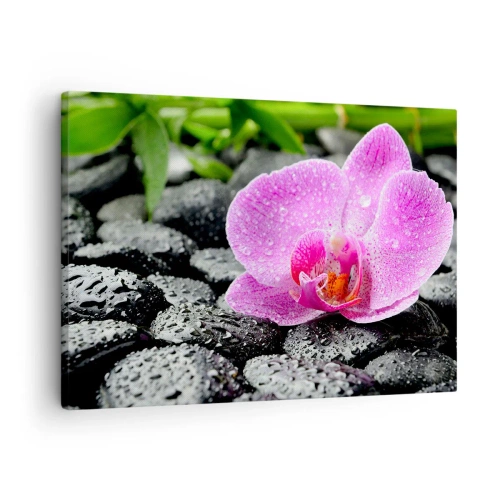 Quadro su tela - Stampe su Tela - Orchidea rosa su pietre nere bagnate con foglie verdi - 70x50cm - Come un cuore aperto - Decorazione murale moderna per soggiorno e camera da letto ARTTOR