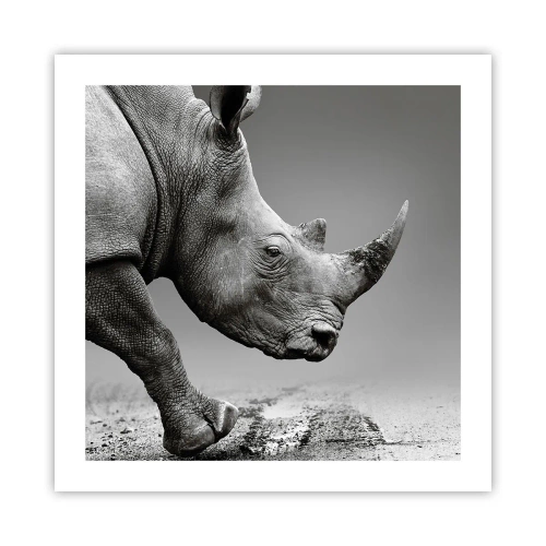 Poster - Forza irrefrenabile - 50x50 cm