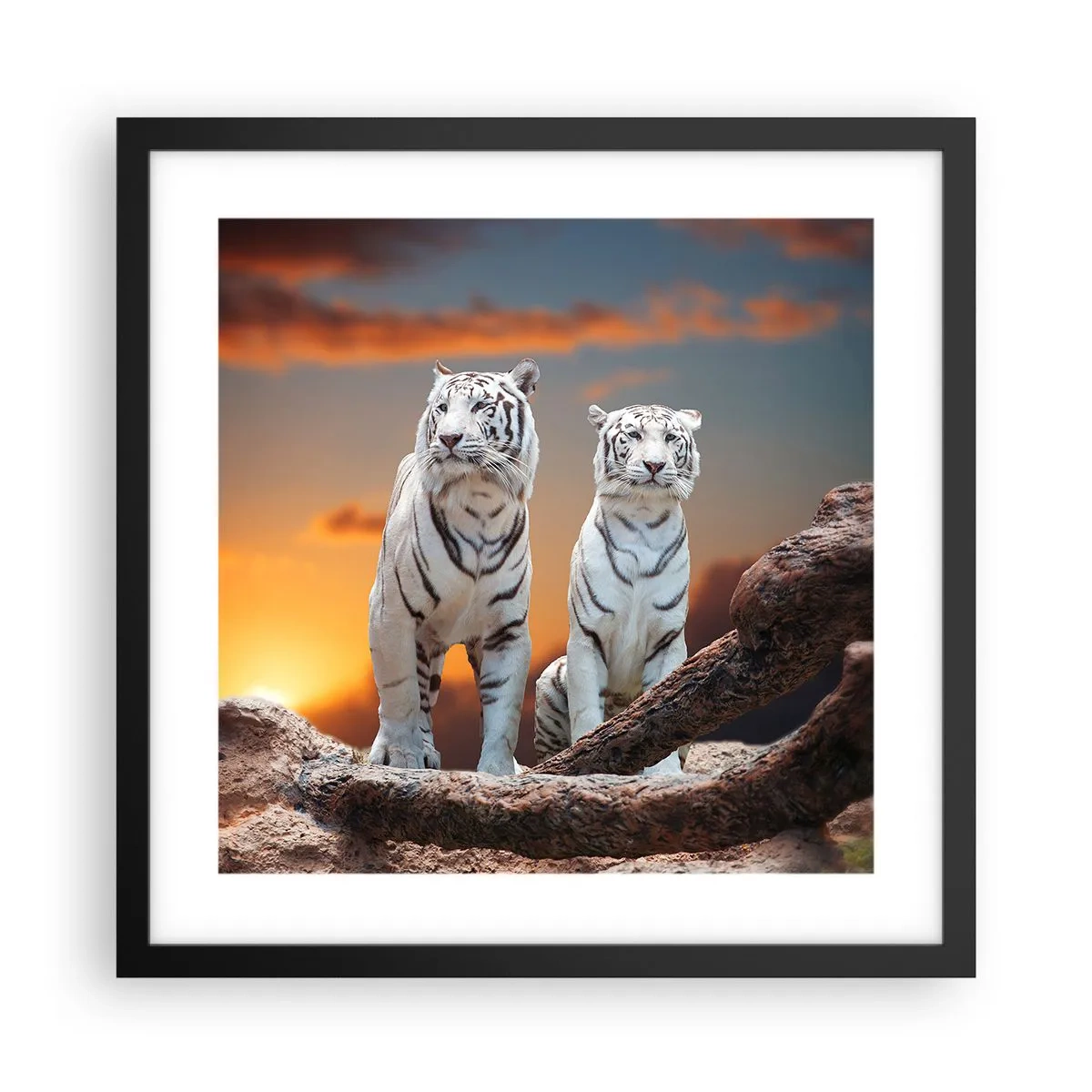 Poster in cornice nera - Proprio come a Narnia - 40x40 cm